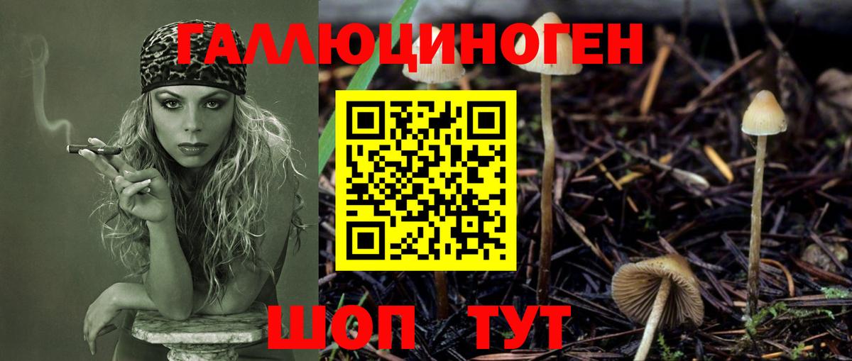 Псилоцибиновые грибы прущие грибы  Вход с VPN  Киселёвск 