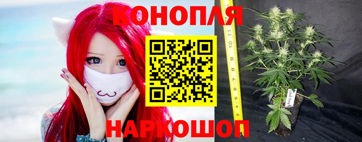 МАРИХУАНА LSD WEED Киселёвск